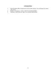 Sudurtiniai žodžiai (dūriniai), jų vartojimas, profesijos tematikos tekstuose ir klaidos 11 puslapis