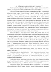 Sudurtiniai žodžiai (dūriniai), jų vartojimas, profesijos tematikos tekstuose ir klaidos 3 puslapis