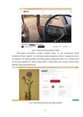 Sudurtiniai žodžiai (dūriniai), jų vartojimas, profesijos tematikos tekstuose ir klaidos 8 puslapis