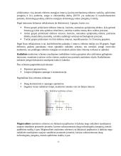 Mechaninio cecho elektros tinklų projektavimas 10 puslapis