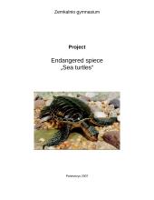 Endangered spiece: Sea turtles 1 puslapis