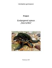 Endangered spiece: Sea turtles