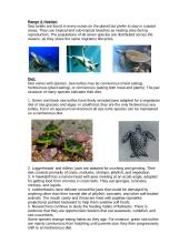 Endangered spiece: Sea turtles 3 puslapis