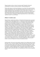 Šatrijos ragana: konspektas 3 puslapis