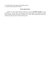 Kafka - Metamorfozė. Konspektas 3 puslapis