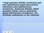 Gamybos išlaidų samprata ir jų klasifikacija 20 puslapis