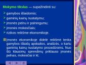 Gamybos išlaidų samprata ir jų klasifikacija 3 puslapis
