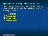 Gamybos išlaidų samprata ir jų klasifikacija 10 puslapis