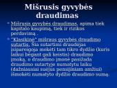 Gyvybės draudimo sąvoka ir ekonominė esmė 6 puslapis