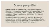 Skaidrės apie drąsą 11 puslapis