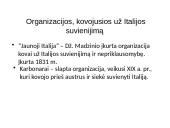 Revoliuciniai XIX a. sąjūdžiai 17 puslapis