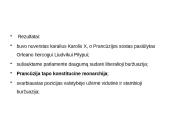 Revoliuciniai XIX a. sąjūdžiai 4 puslapis