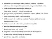 Revoliuciniai XIX a. sąjūdžiai 6 puslapis