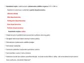 Abiejų tautų respublikos padalijimas. Skaidrės 9 puslapis