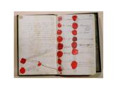 Vienos kongresas 12 puslapis