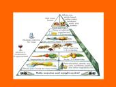 The ways to keep oneself fit and healthy 13 puslapis