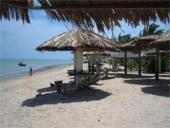 The ways to keep oneself fit and healthy 19 puslapis