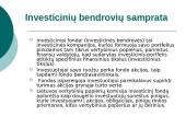 Investicinių bendrovių veiklos ypatumai 2 puslapis