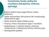 Investicinių bendrovių veiklos ypatumai 11 puslapis