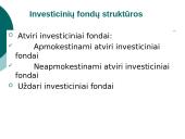Investicinių bendrovių veiklos ypatumai 5 puslapis