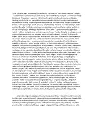 Asmeninės laimės ir pareigos konfliktas lietuvių literatūroje (kalbėjimas) 2 puslapis