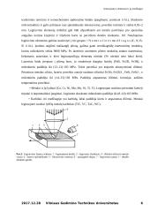Armuojantys elementai ir jų medžiagos 5 puslapis