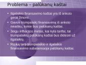 Kapitalo kaštai 17 puslapis