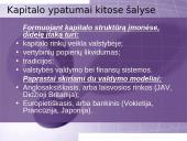 Kapitalo kaštai 18 puslapis