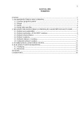 Kelionės organizavimas į Londoną 2 puslapis