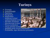 Klasikinis kiaulių maras 2 puslapis