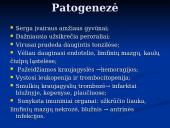 Klasikinis kiaulių maras 11 puslapis