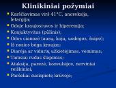 Klasikinis kiaulių maras 13 puslapis