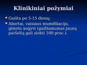 Klasikinis kiaulių maras 14 puslapis