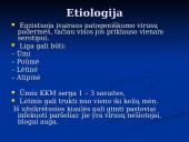 Klasikinis kiaulių maras 4 puslapis