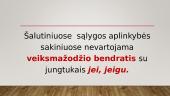 Sudėtinio prijungiamojo sakinio dėmenų jungimo klaidos 9 puslapis