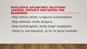 Sudėtinio prijungiamojo sakinio dėmenų jungimo klaidos 10 puslapis