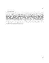  Menų mokyklinio brandos egzamino baigiamojo darbo aprašymas. Natiurmortas 13 puslapis