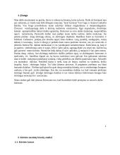  Menų mokyklinio brandos egzamino baigiamojo darbo aprašymas. Natiurmortas 2 puslapis