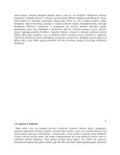  Menų mokyklinio brandos egzamino baigiamojo darbo aprašymas. Natiurmortas 4 puslapis