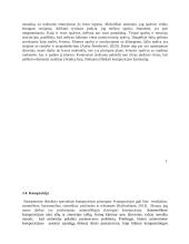  Menų mokyklinio brandos egzamino baigiamojo darbo aprašymas. Natiurmortas 5 puslapis