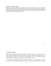  Menų mokyklinio brandos egzamino baigiamojo darbo aprašymas. Natiurmortas 6 puslapis