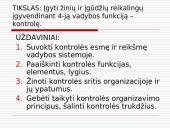 4-ji vadybos funkciją - kontrolė 2 puslapis