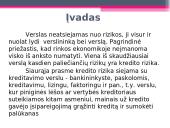 Kredito rizika bei jos valdymas 2 puslapis