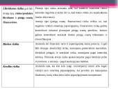 Kredito rizika bei jos valdymas 11 puslapis