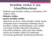 Kredito rizika bei jos valdymas 13 puslapis