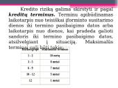 Kredito rizika bei jos valdymas 14 puslapis