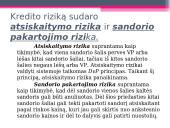 Kredito rizika bei jos valdymas 15 puslapis