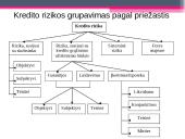 Kredito rizika bei jos valdymas 16 puslapis