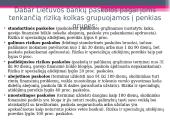 Kredito rizika bei jos valdymas 17 puslapis