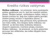 Kredito rizika bei jos valdymas 18 puslapis